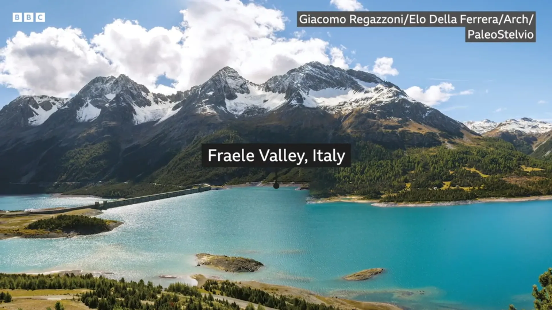 "Как мало мы знаем о местах, где живем": на севере Италии обнаружили тысячи следов динозавров триасового периода. Фото