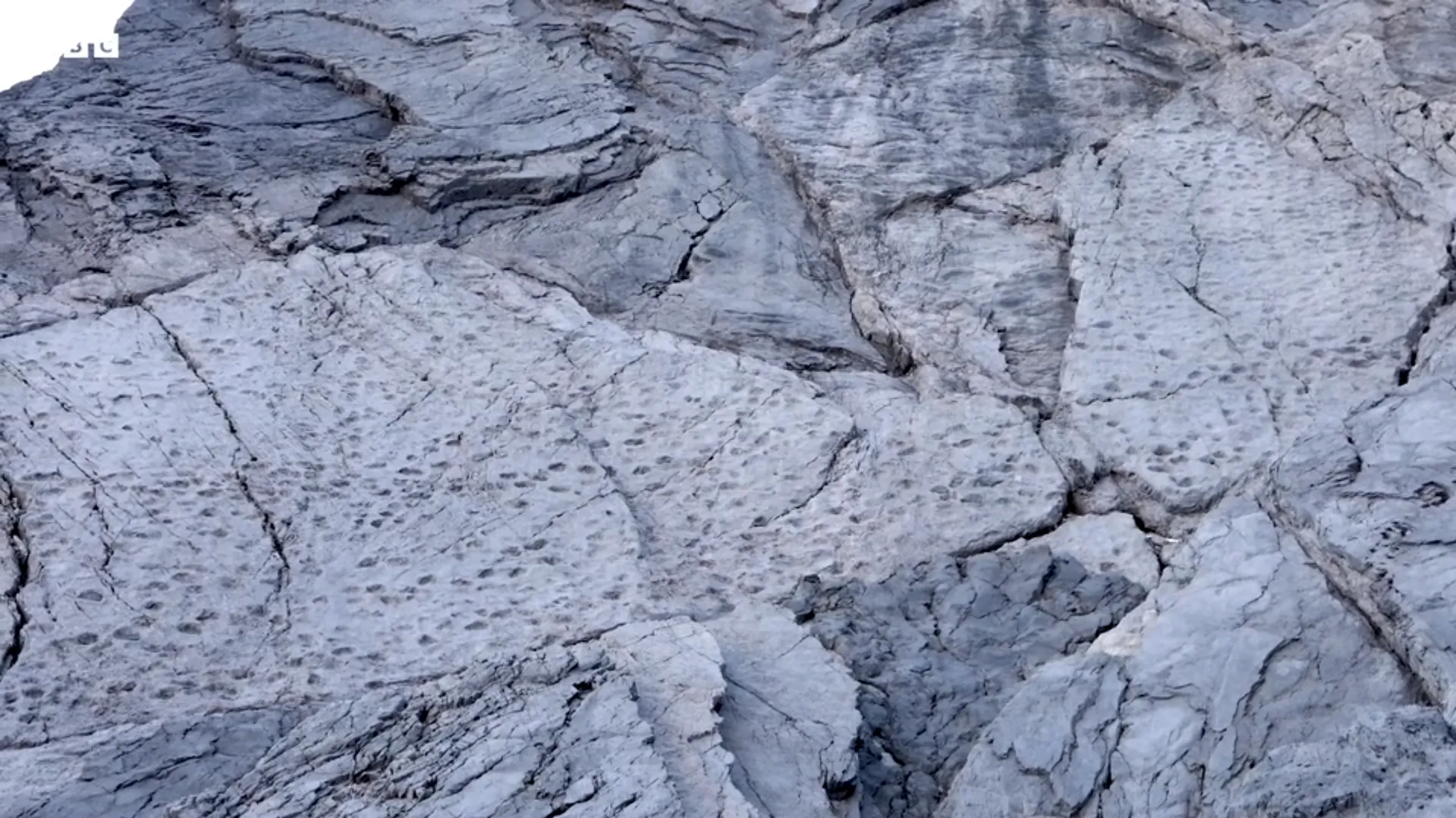 "Как мало мы знаем о местах, где живем": на севере Италии обнаружили тысячи следов динозавров триасового периода. Фото