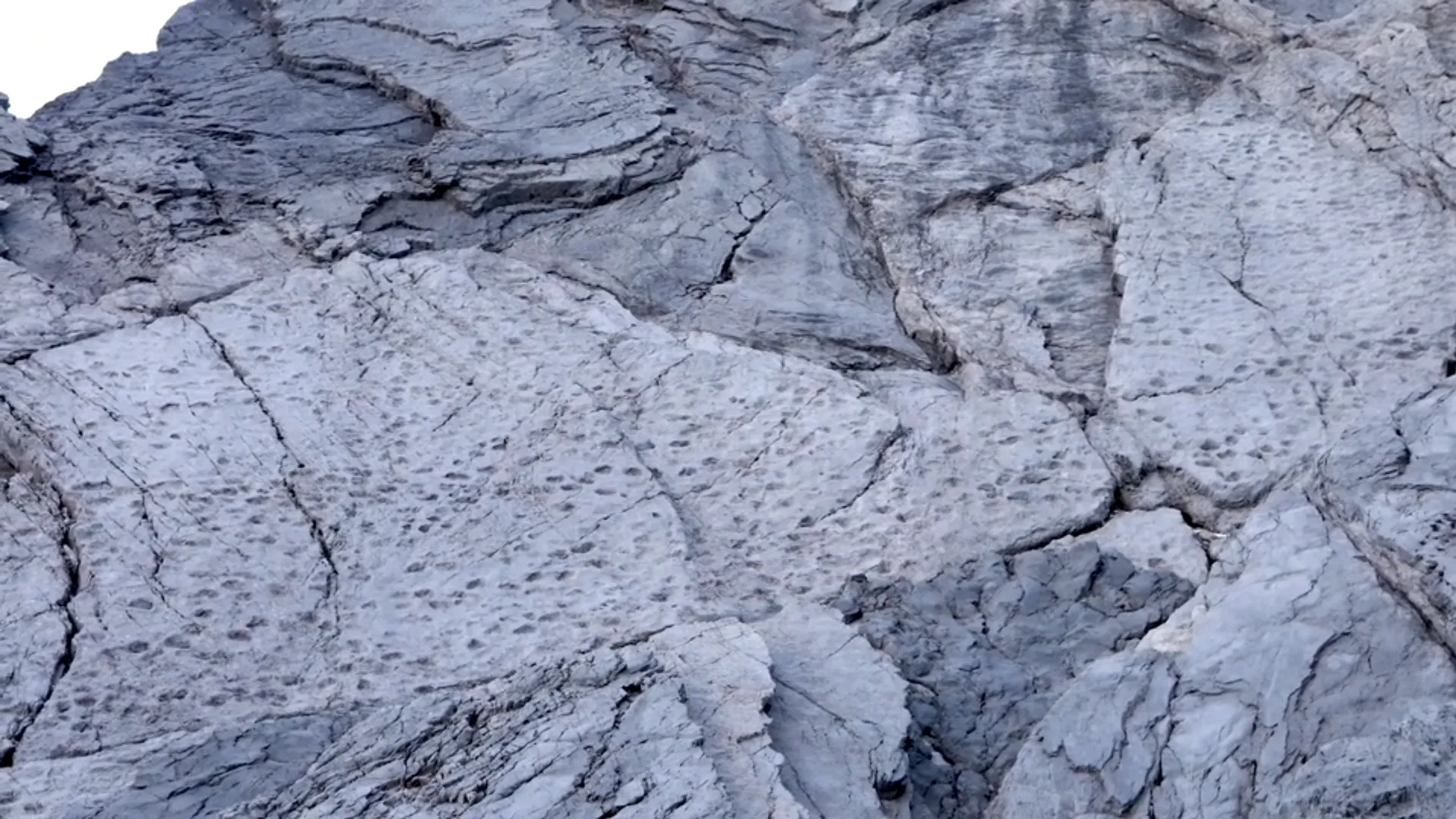 "Как мало мы знаем о местах, где живем": на севере Италии обнаружили тысячи следов динозавров триасового периода. Фото