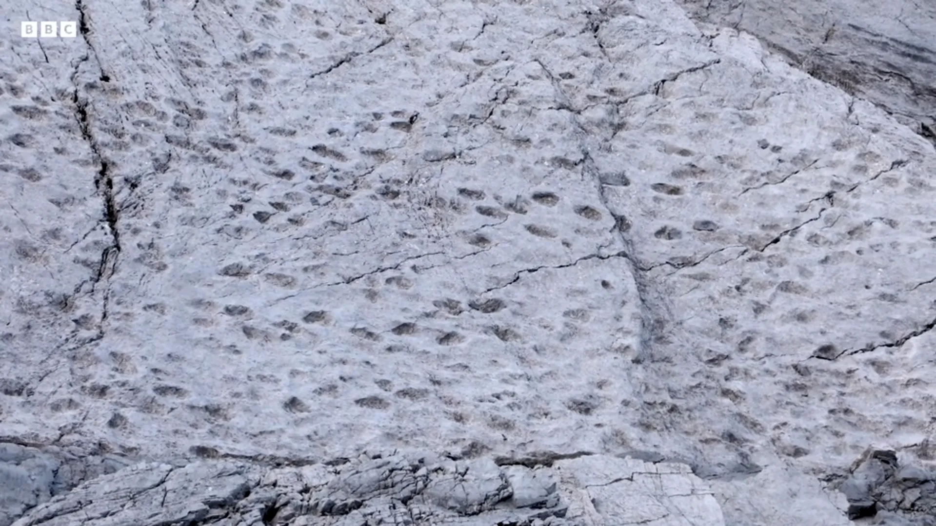 "Как мало мы знаем о местах, где живем": на севере Италии обнаружили тысячи следов динозавров триасового периода. Фото