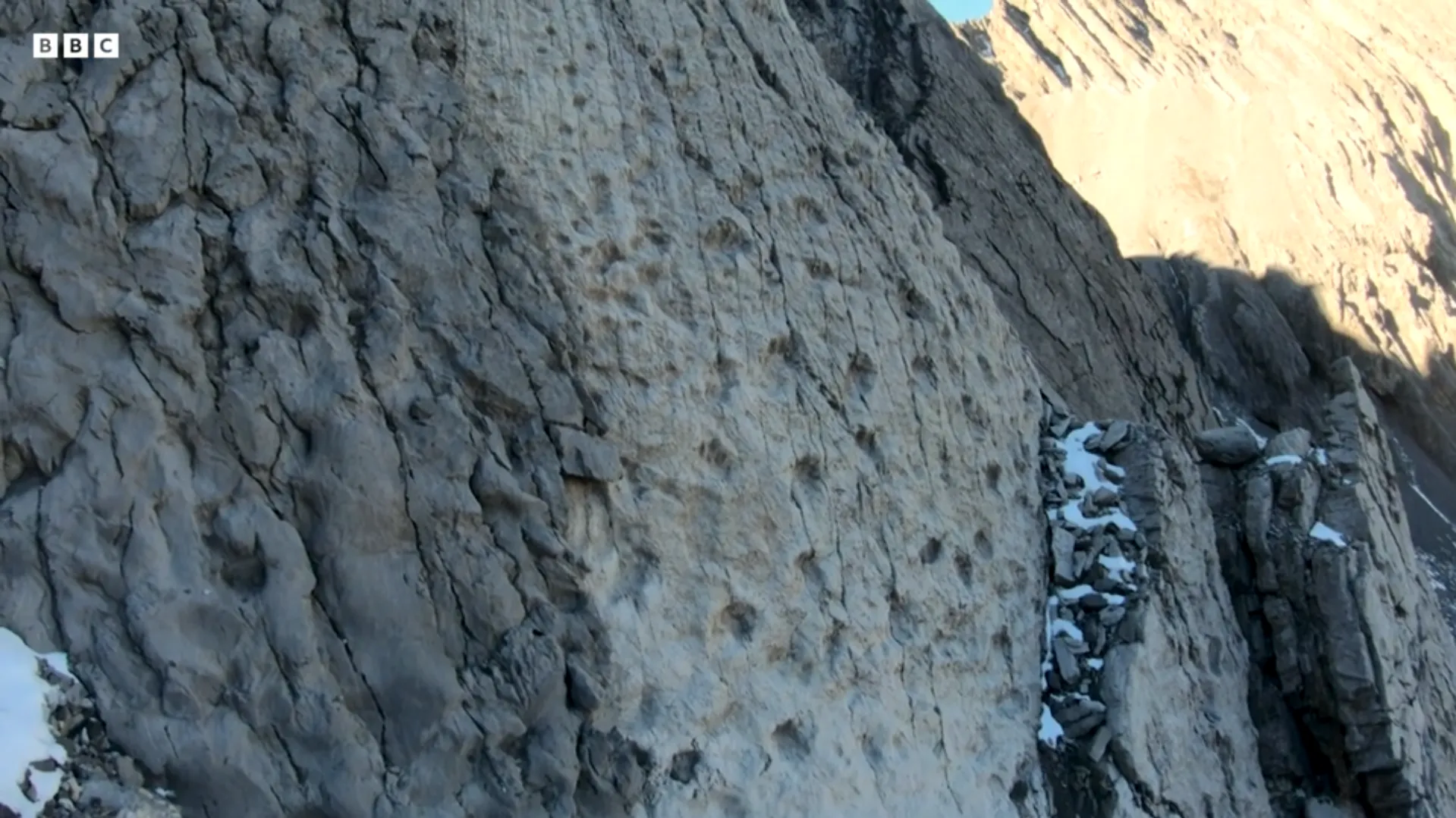 "Как мало мы знаем о местах, где живем": на севере Италии обнаружили тысячи следов динозавров триасового периода. Фото