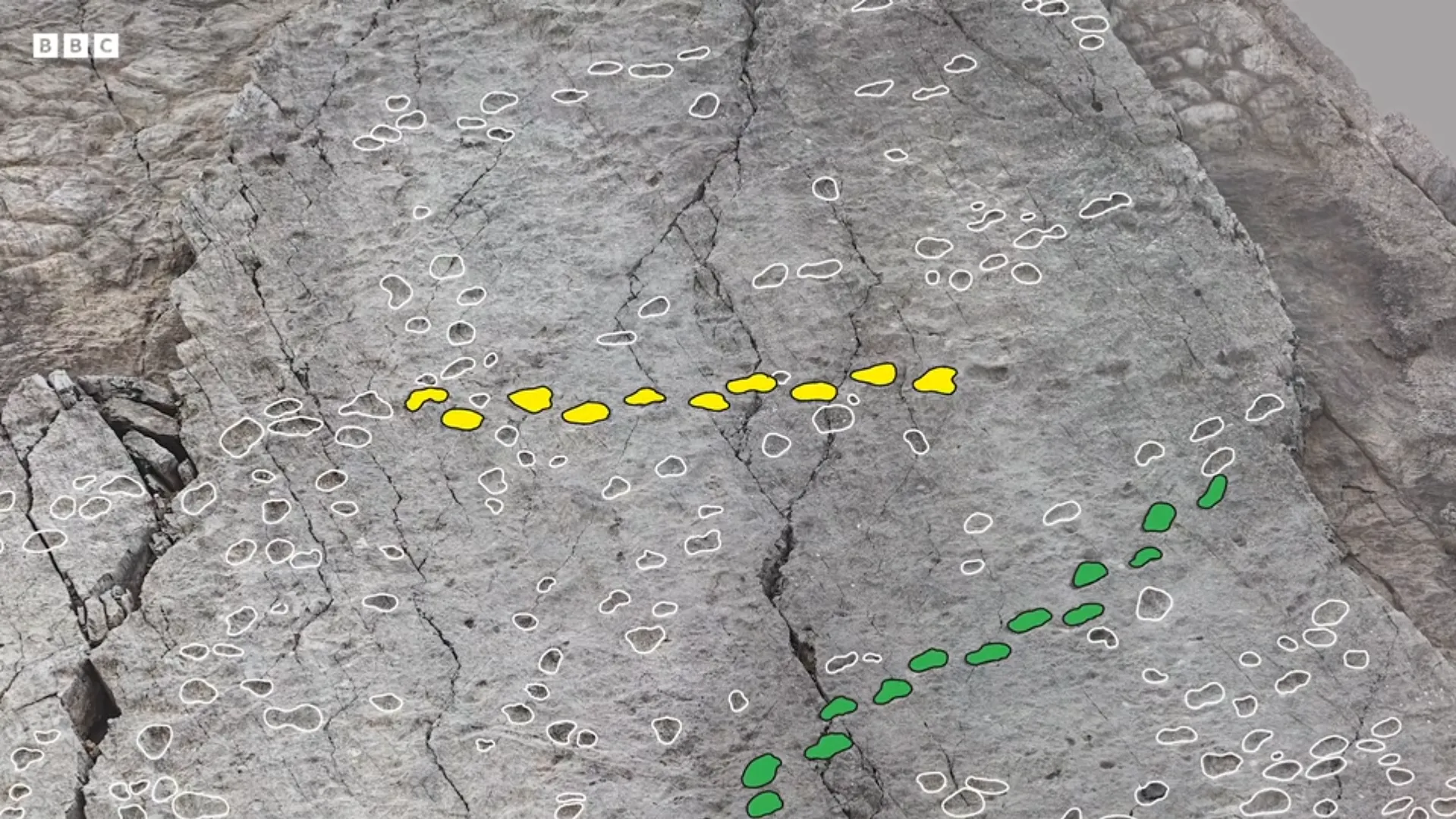 "Как мало мы знаем о местах, где живем": на севере Италии обнаружили тысячи следов динозавров триасового периода. Фото