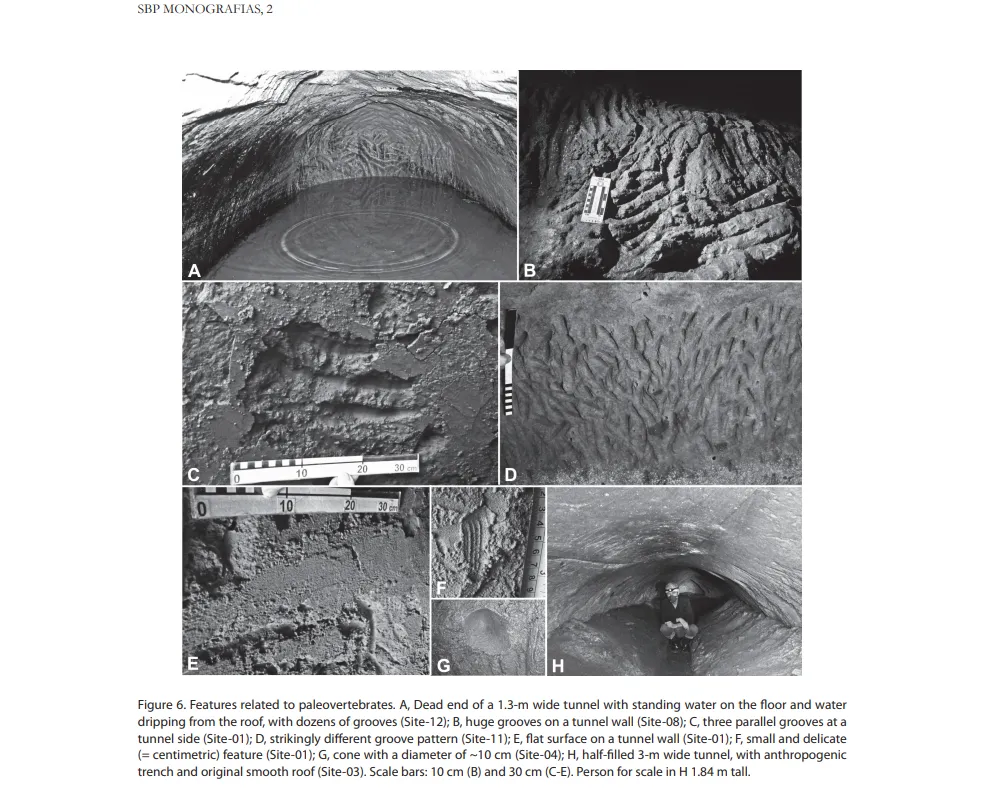 Ученые нашли странные огромные туннели, которые не мог сделать человек