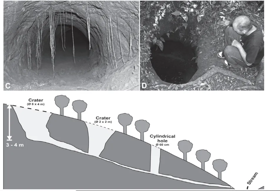 Ученые нашли странные огромные туннели, которые не мог сделать человек