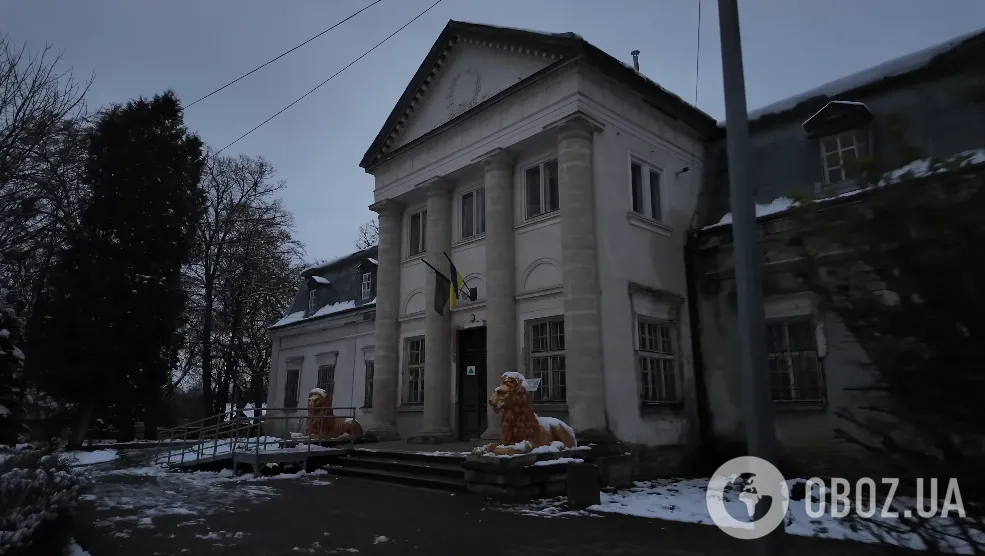 Блогер пешком отправилась из Львова в Черновцы в опасную погоду: куда она дошла за два дня и какие спрятанные "сокровища" Украины увидела