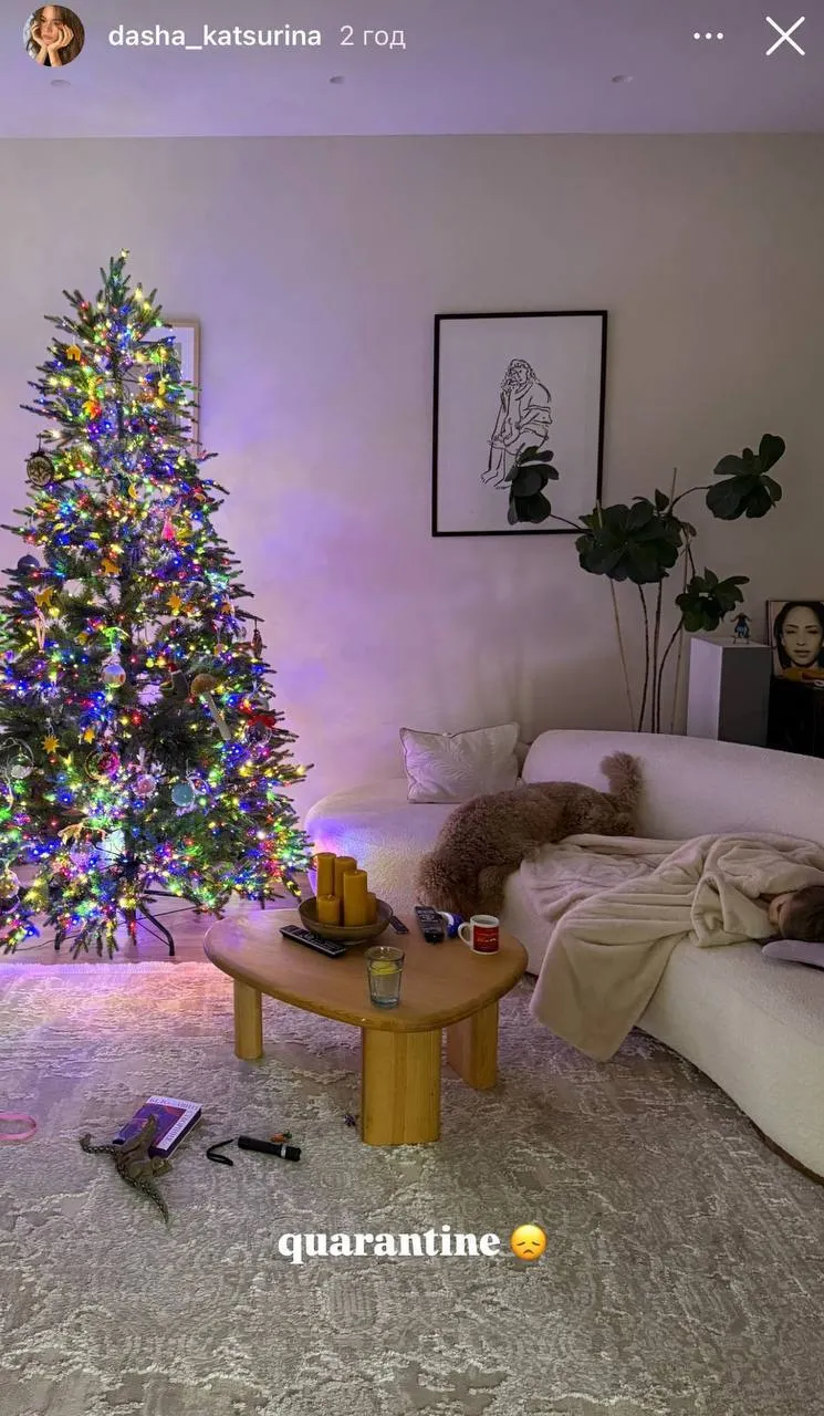 Как звезды украшают дома к праздникам: 10 фото новогодних идей, которые вдохновят каждого