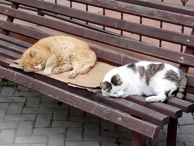 Добровільно став на захист України: на війні загинув оператор ударних дронів Арсеній Зав'ялов зі Львова. Фото