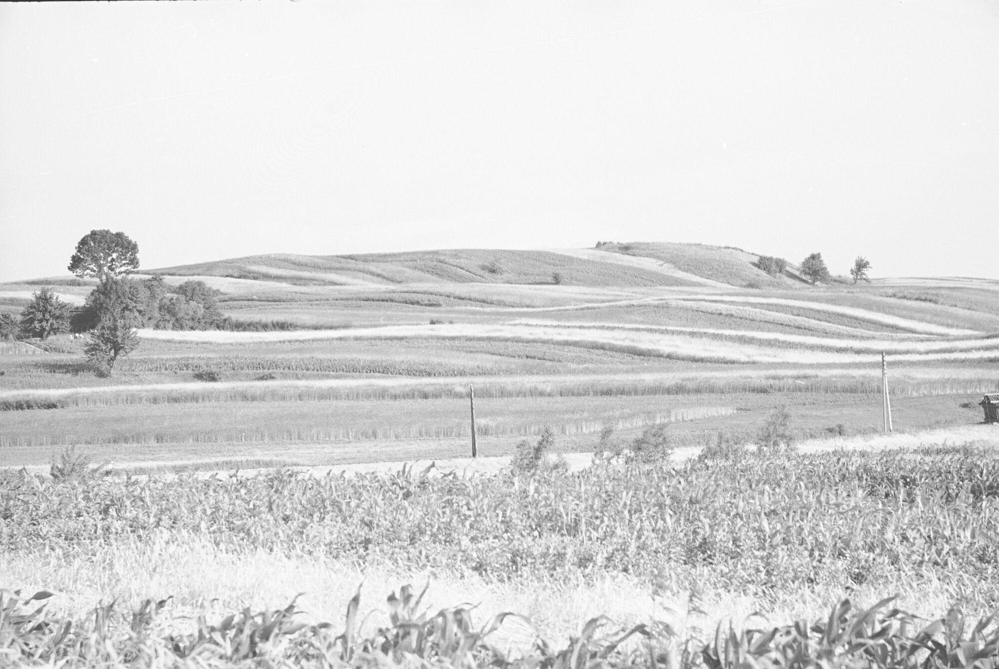 Тысменица в 30-х годах: редкие старые фото Прикарпатья