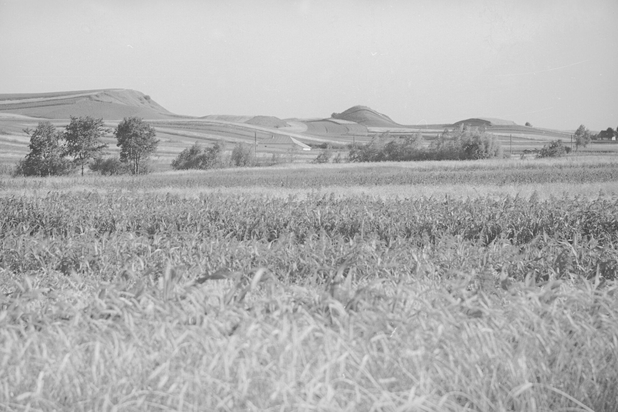 Тысменица в 30-х годах: редкие старые фото Прикарпатья