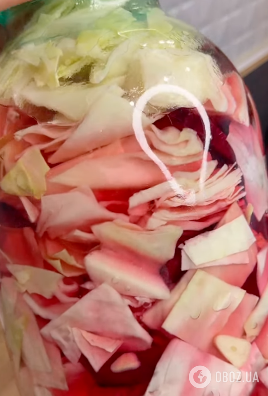 Полезная и вкусная капуста "Пелюстка": делимся рецептом самой полезной зимней закуски