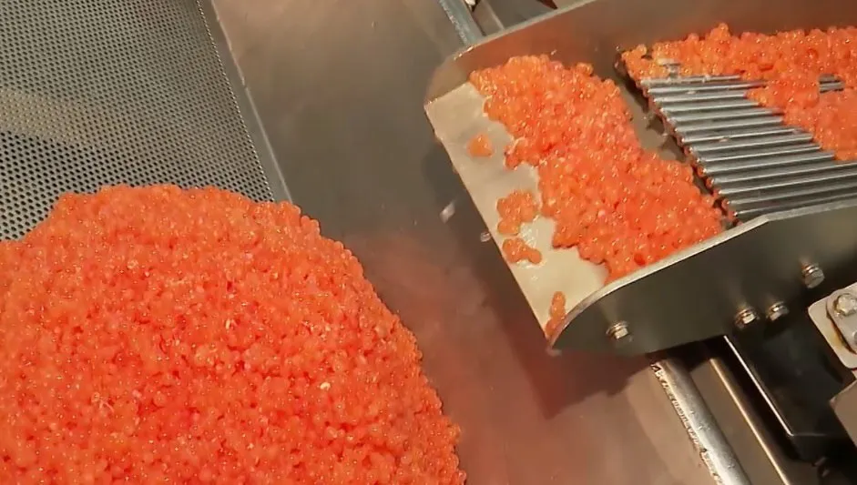 В России похвастались, что передали Трампу ящик красной икры