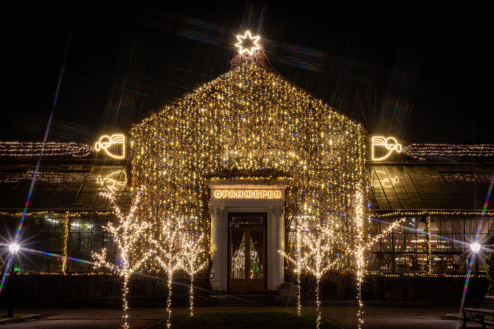 Самый большой каток, резиденция Санты и световые инсталляции: чем удивит "Зимняя страна" на ВДНХ в Киеве