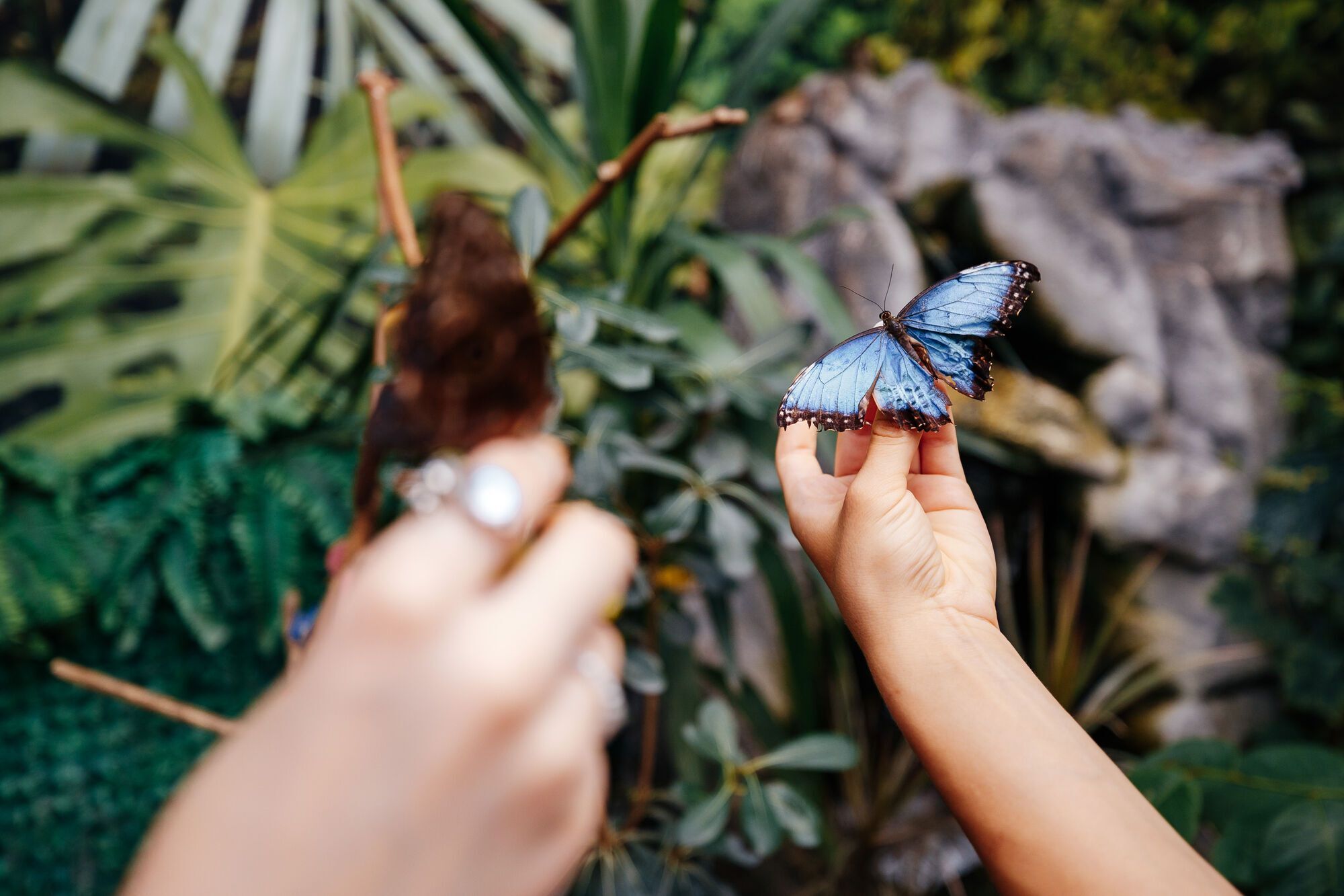 Самый большой каток, резиденция Санты и световые инсталляции: чем удивит "Зимняя страна" на ВДНХ в Киеве