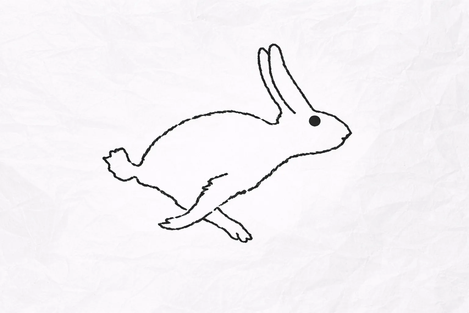 Утка или кролик? То, что вы увидели первым, раскроет вашу личность