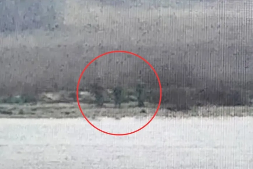 Кремль посилює атаки проти Європи: в ISW пояснили, що стоїть за проникненням російських прикордонників в Естонію