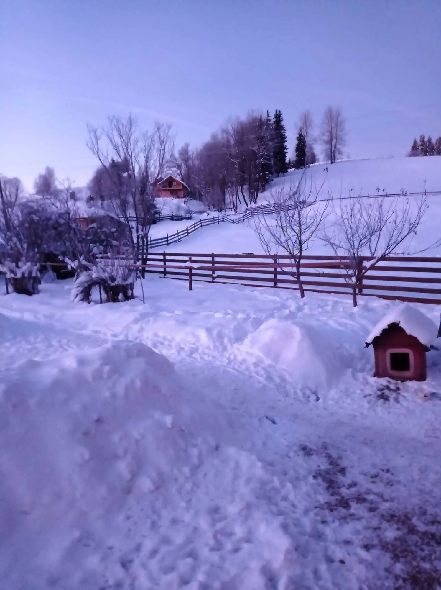 Чем заняться в Карпатах зимой в Карпатах