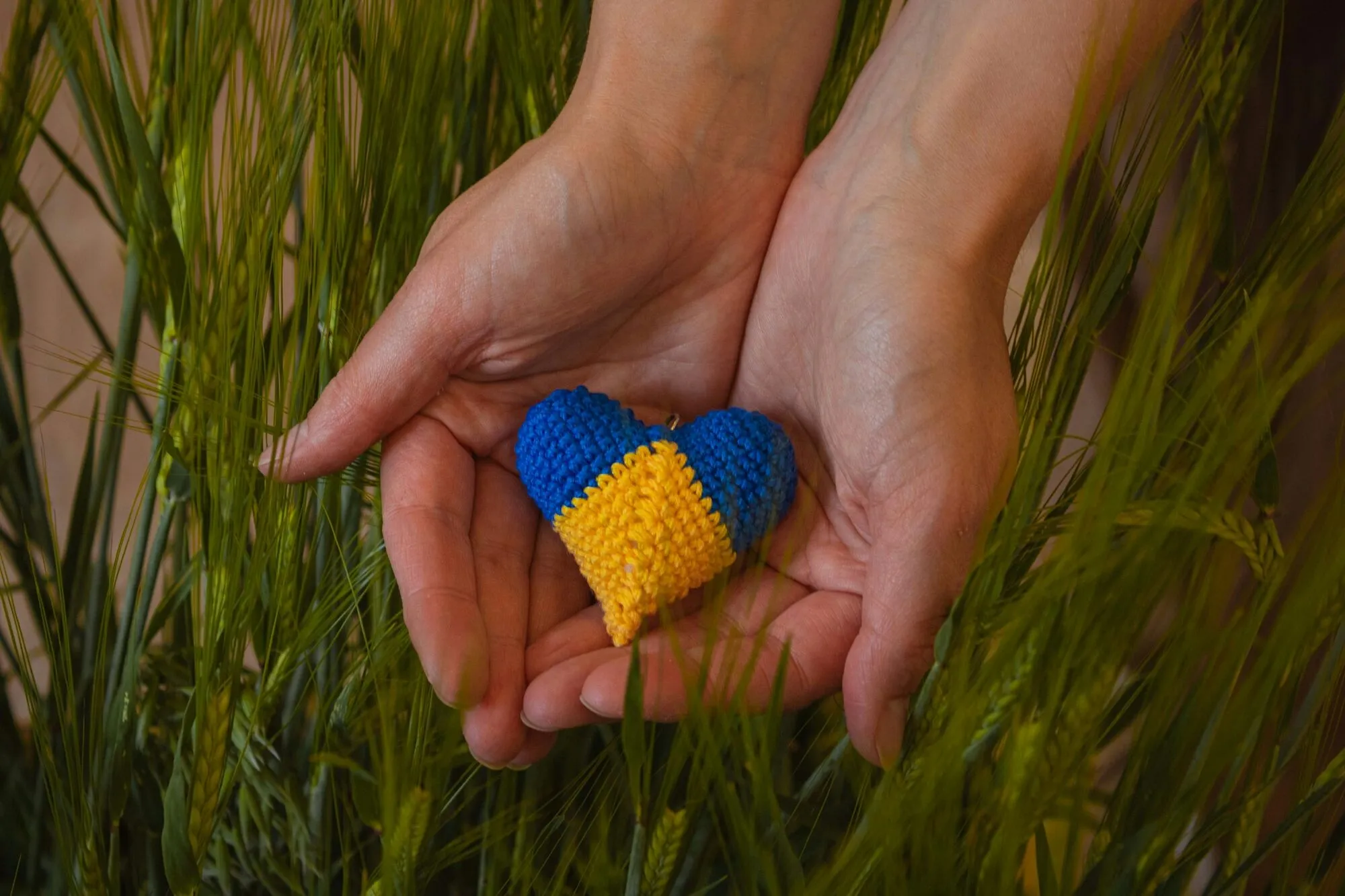 Почему День Вооруженных сил Украины празднуют 6 декабря: история