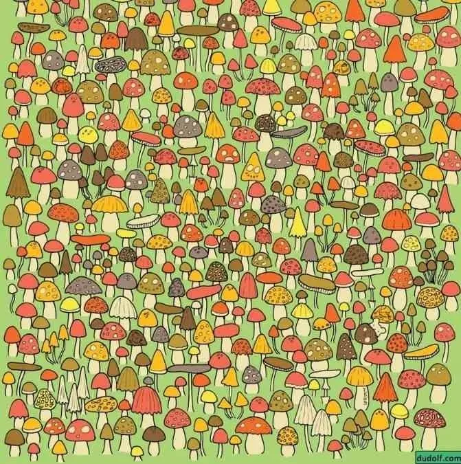 Найдите мышь: интересная головоломка, чтобы проверить вашу внимательность