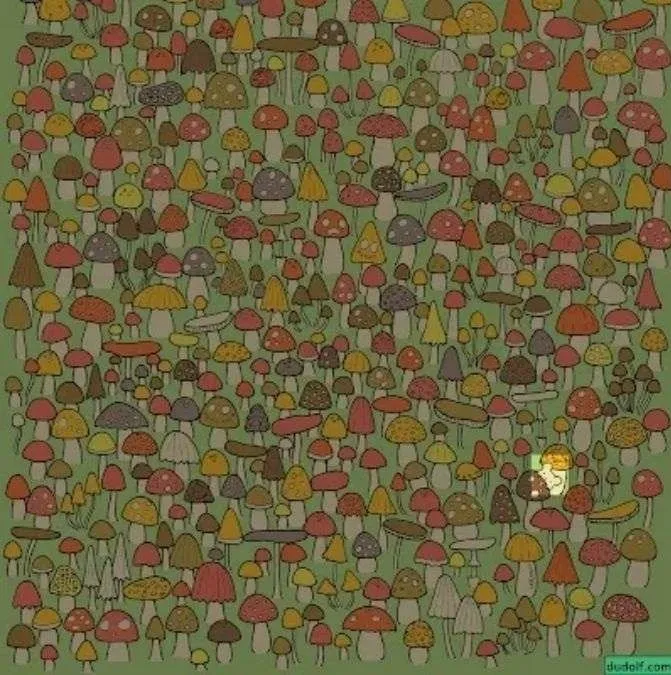 Найдите мышь: интересная головоломка, чтобы проверить вашу внимательность