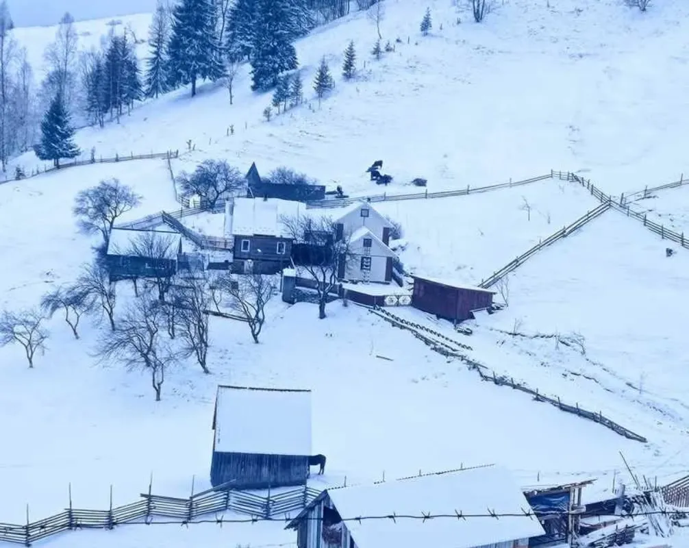 Отдых в Карпатах зимой