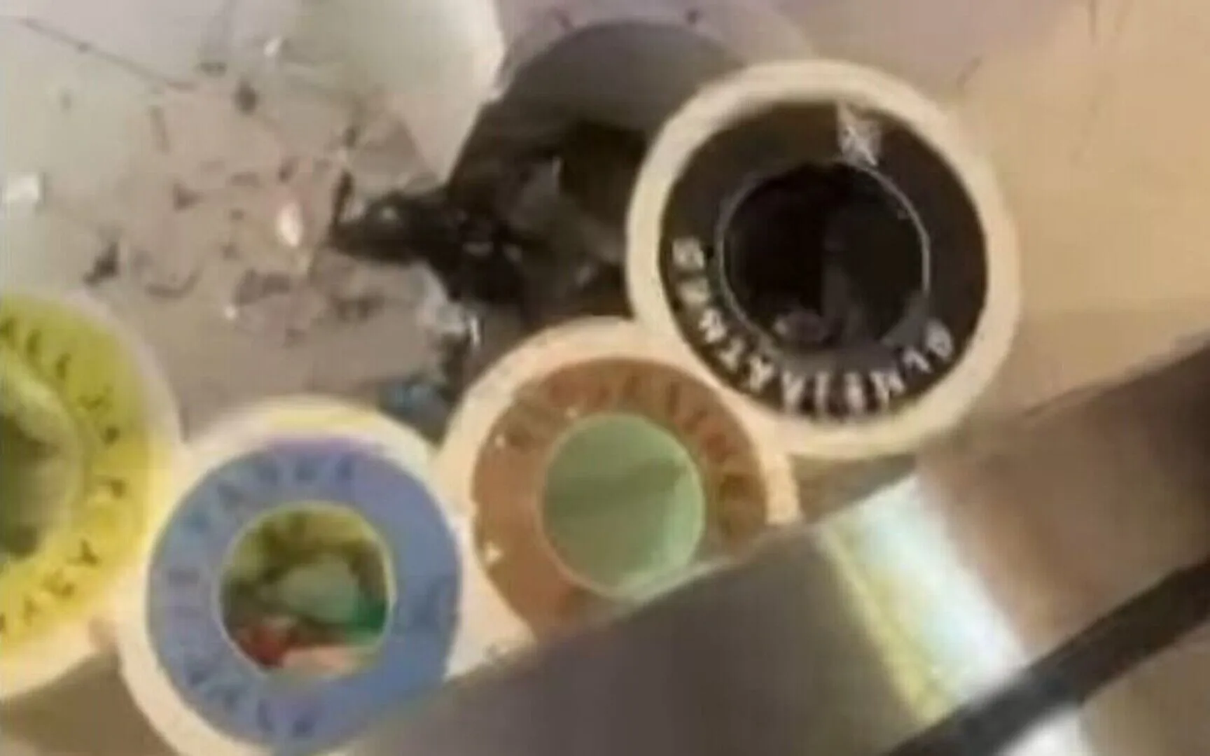 У центрі Талліна у великому торгівельному центрі пролунав потужний вибух: постраждала жінка, людей евакуювали