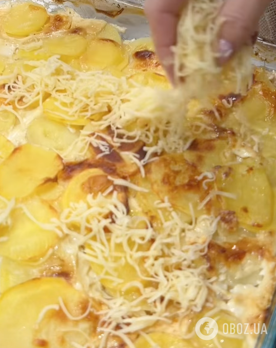 Картофельная запеканка с мясом и сыром: рецепт блюда для обеда и ужина