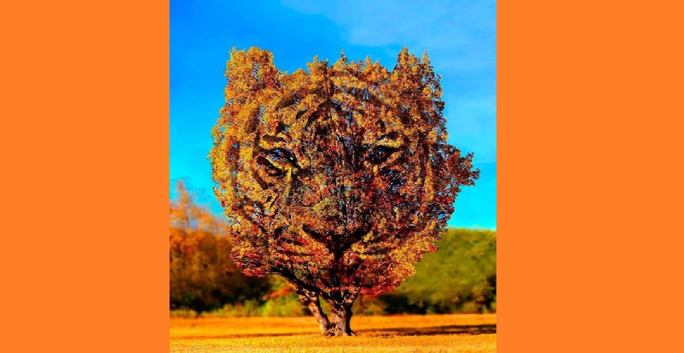 Увидели первым тигра или дерево? Быстрый тест на личность