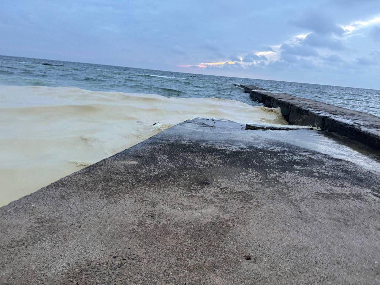 В Одесской области зафиксировали загрязнение прибрежной зоны и гибель птиц: в ГВА объяснили, что произошло. Фото и видео