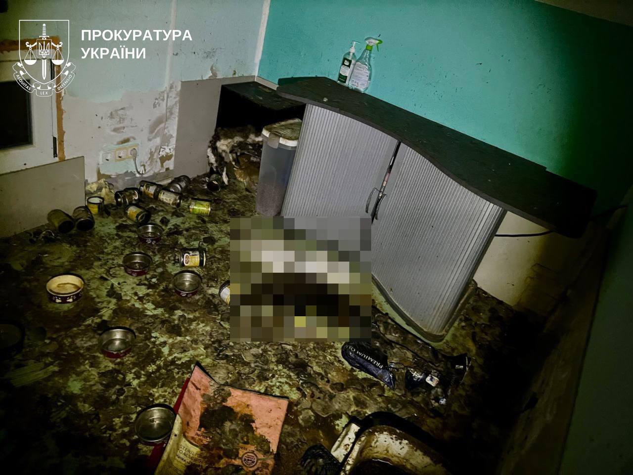 На Київщині в притулку для тварин загинуло понад 50 котів. Подробиці справи та фото