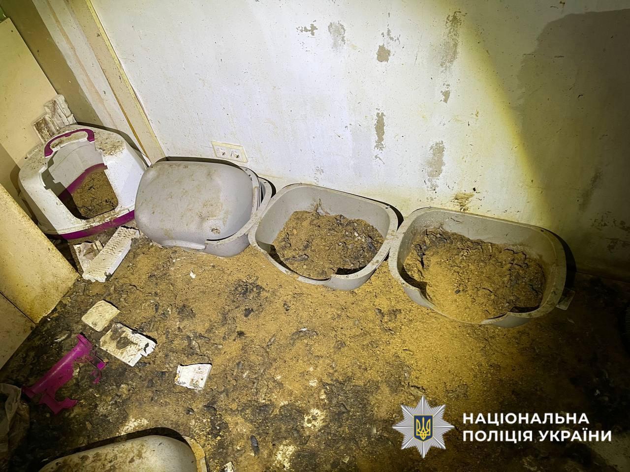 На Київщині в притулку для тварин загинуло понад 50 котів. Подробиці справи та фото