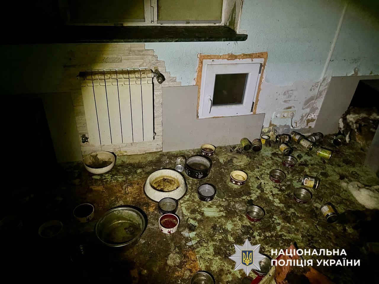 На Київщині в притулку для тварин загинуло понад 50 котів. Подробиці справи та фото