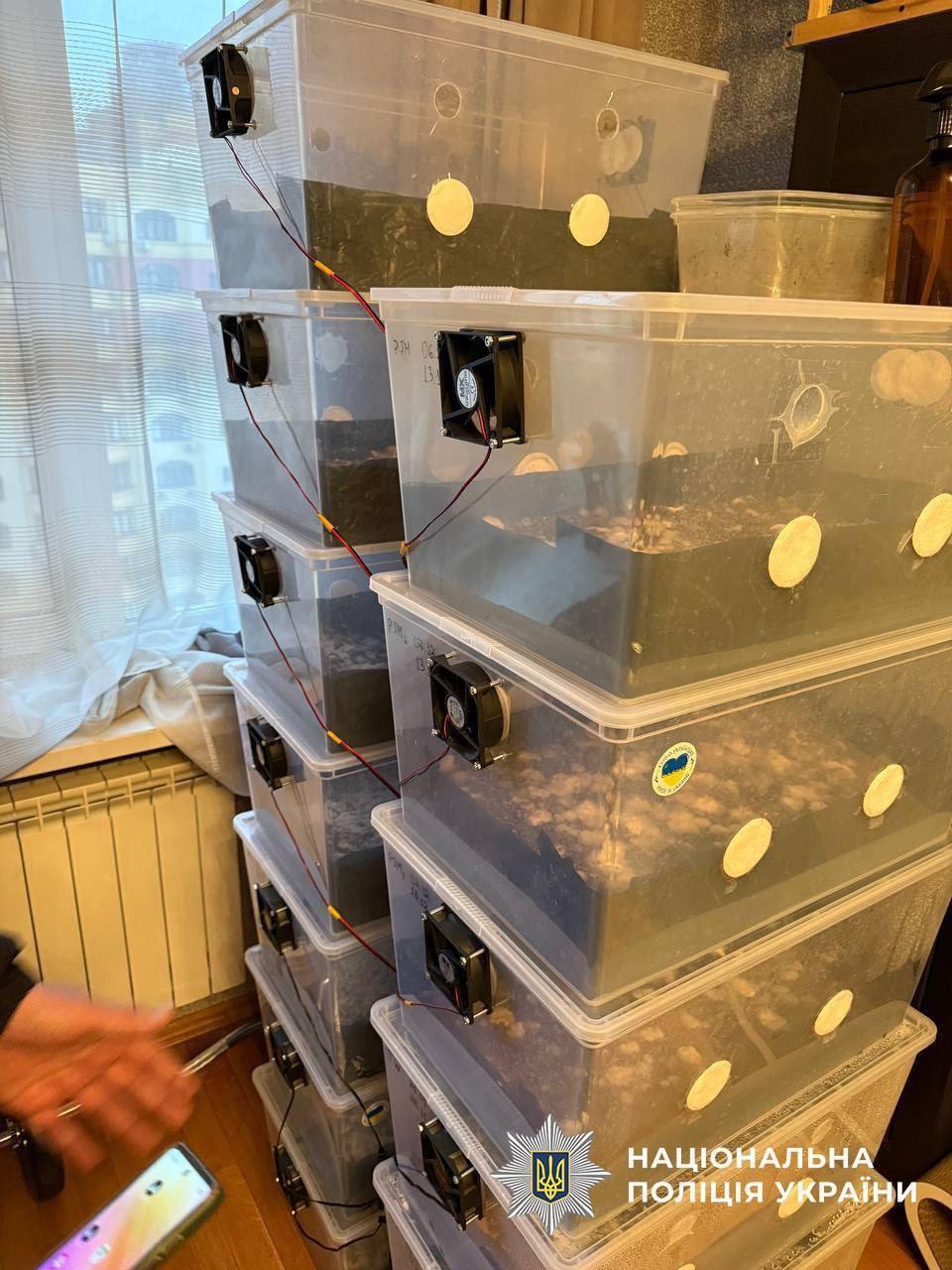 У Києві чоловік продавав наркотики під виглядом шоколадок: у нього вилучили "товару" на понад 1 млн грн. Фото