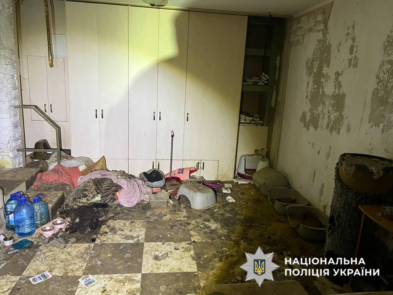 На Київщині в притулку для тварин загинуло понад 50 котів. Подробиці справи та фото