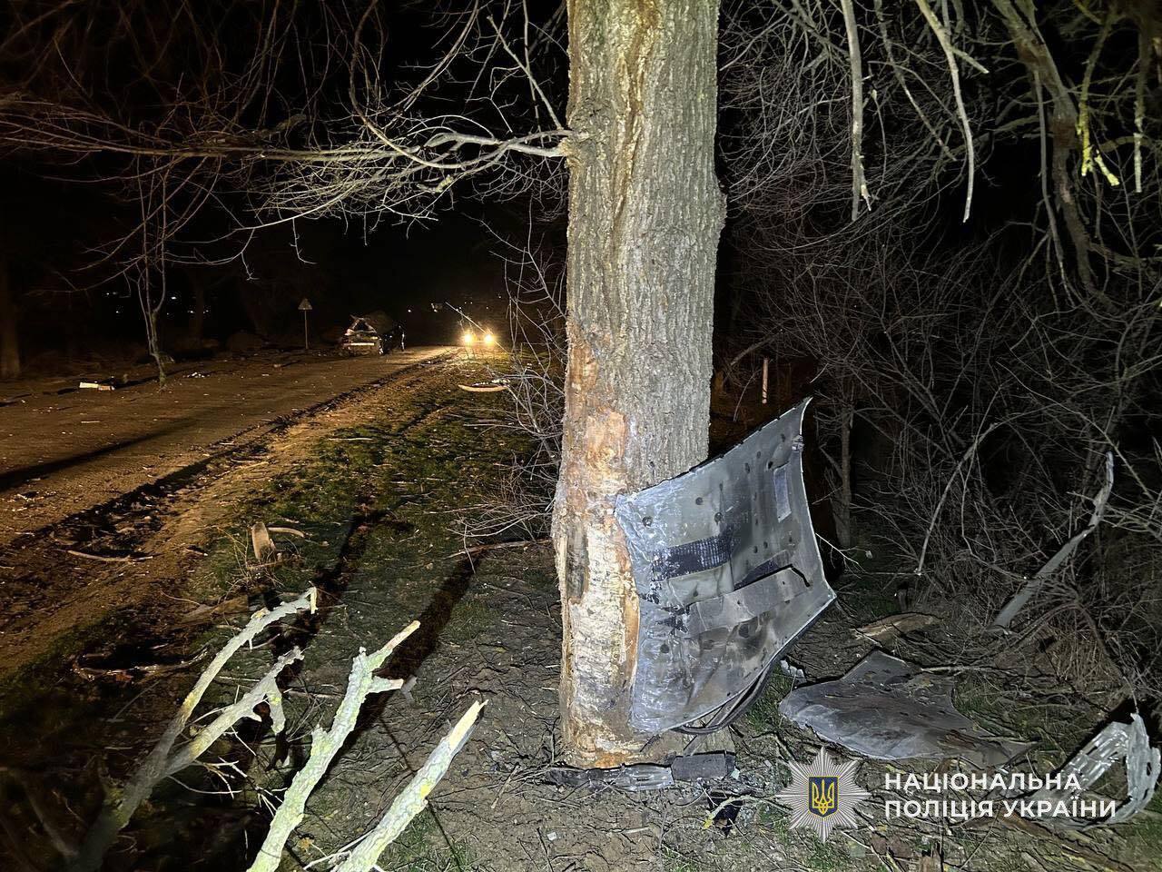 Удар був такої сили, що авто розірвало на шматки: на Дніпропетровщині в жахливій ДТП загинув чоловік. Фото