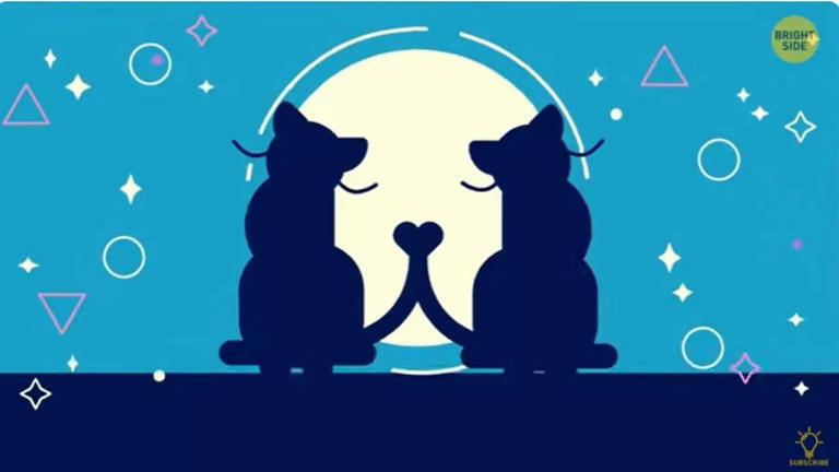 Ви романтик? Швидкий тест, що розкриє вашу особистість