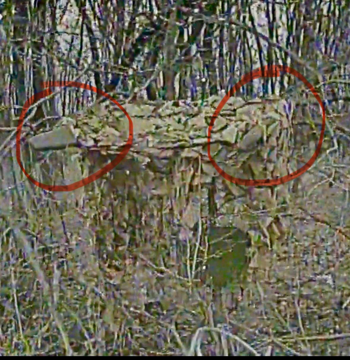 "На жаль, на 100% правильний підхід": "Флеш" розповів, як окупанти протидіють українським дронам на передовій