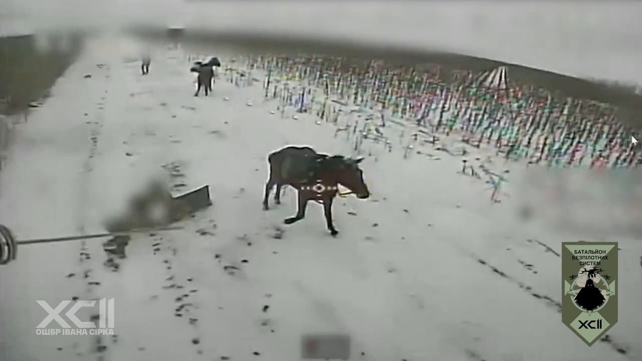 Окупанти ліквідовані, коні цілі: українські військові показали "ювелірну" роботу на фронті. Відео