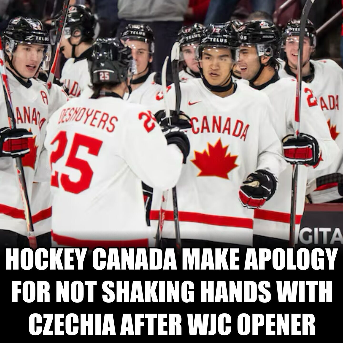 Молодіжний чемпіонат світу з хокею розпочався зі скандалу. Відео