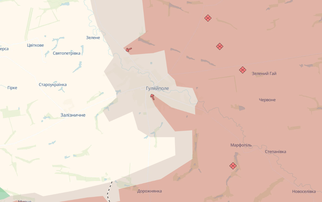 Бои за Гуляйполе продолжаются: в Силах обороны признали, что армия РФ контролирует часть города. Видео
