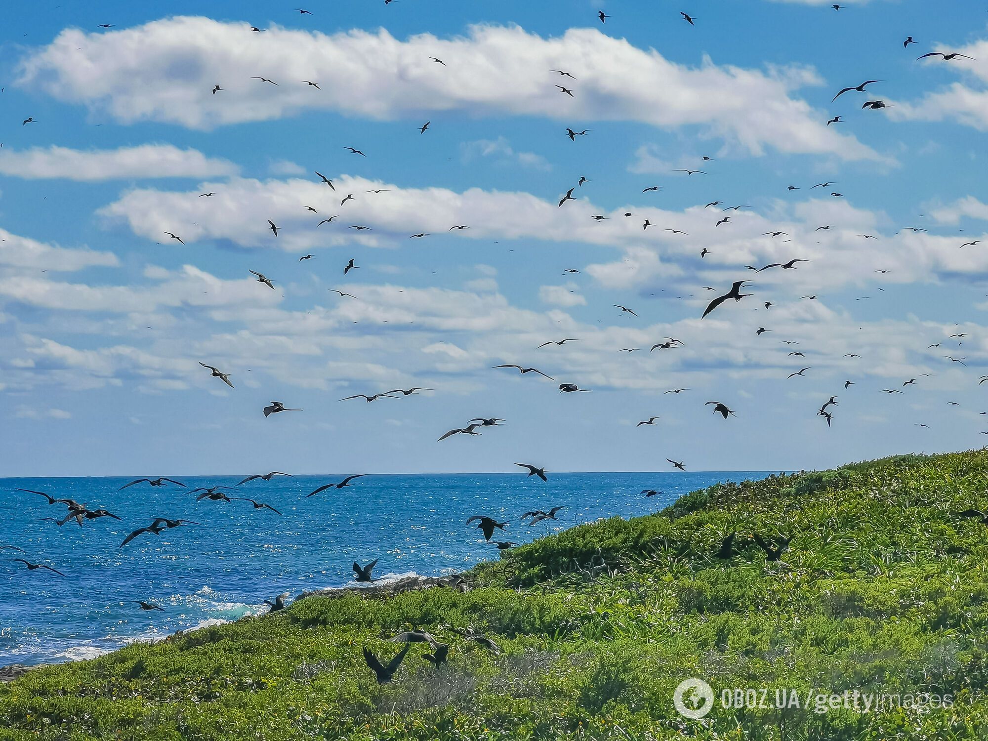 Щоб зберегти красу: на острів у Мексиці пускають лише 200 осіб на добу
