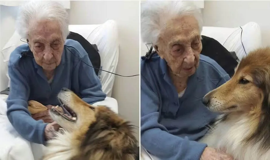 Как прожить более 100 лет: простые пищевые привычки самого старого человека