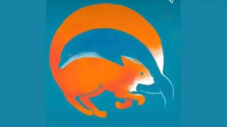 Бачите лисицю чи дельфіна? Тест покаже, інтроверт ви чи екстраверт