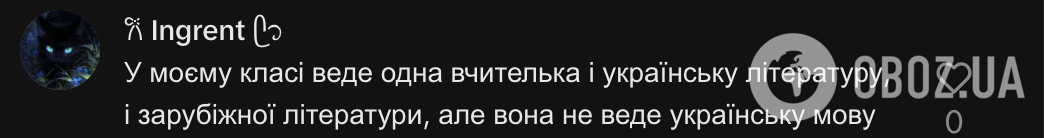 Чи можуть українську мову та українську літературу викладати різні вчителі? Думки в мережі розділились