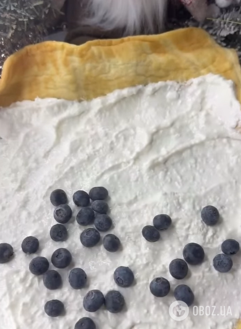 Солодкий білковий рулет до чаю: замість будь-яких тортів