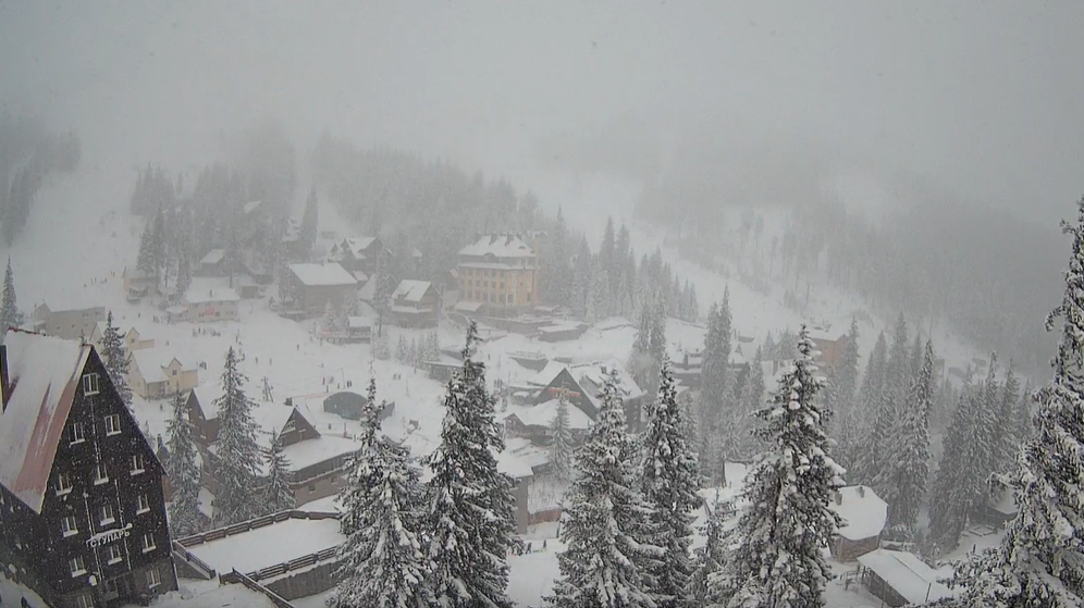 У Карпатах вдарив мороз 17 градусів, йде сніг. Фото