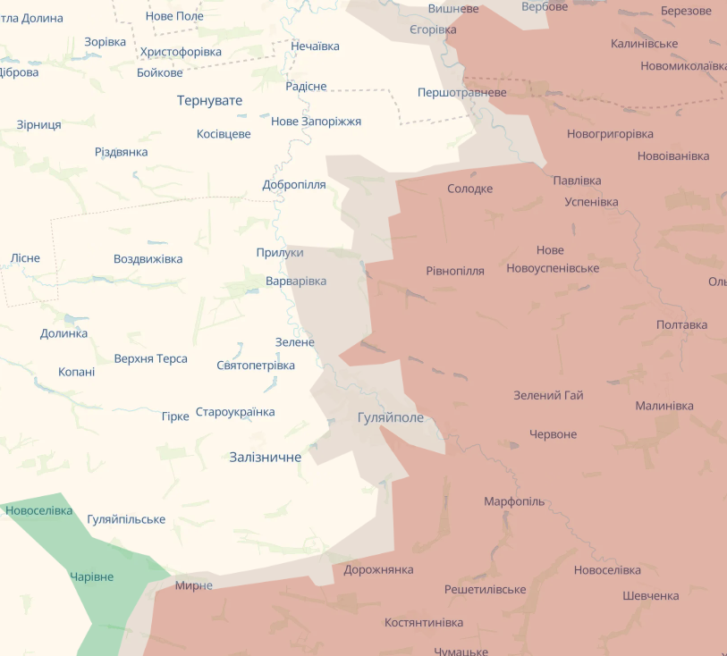 "Бої точаться за кожен будинок": у ЗСУ розповіли про поточну ситуацію в Гуляйполі