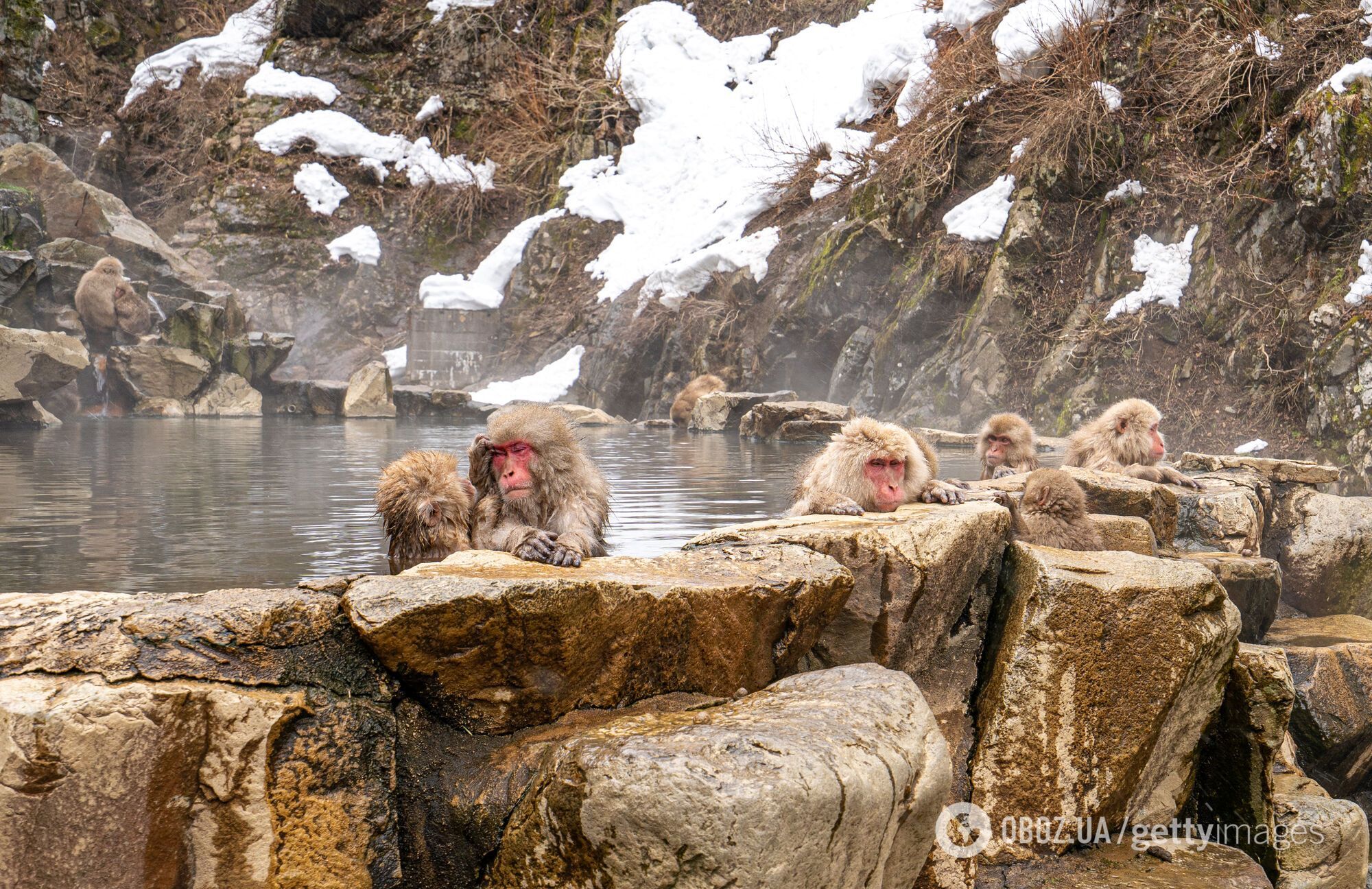 Куди поїхати після різдвяних свят: найкращі напрямки у січні