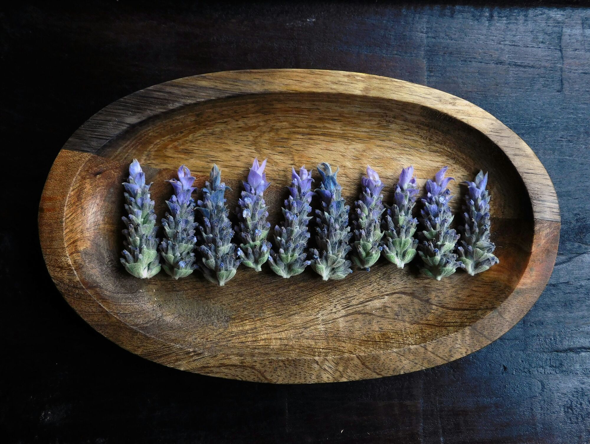 Как посеять лаванду на рассаду: главные правила и что можно сделать уже в декабре