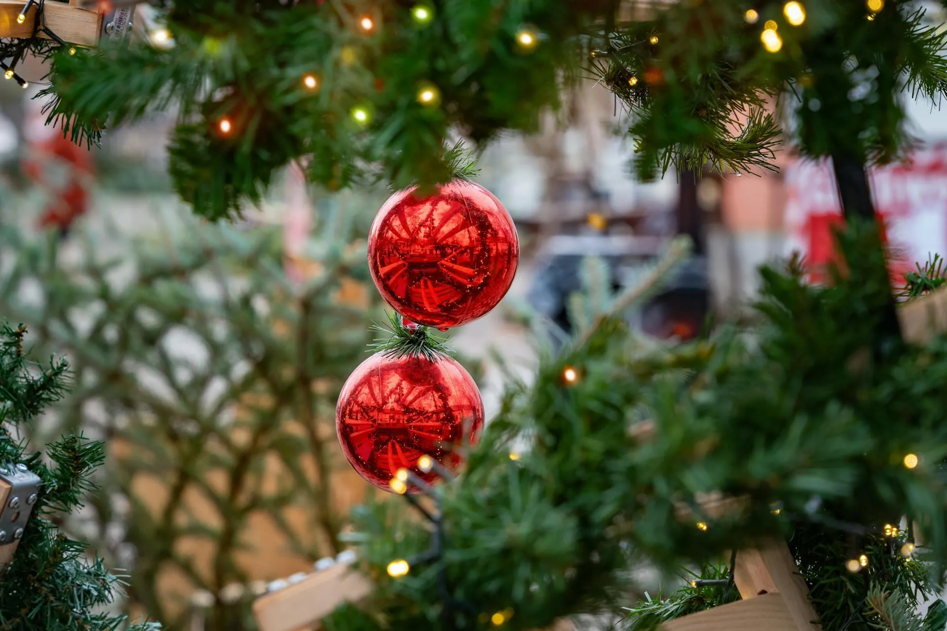 Куда поехать на Рождество в Украине: три города, которые очаруют красотой