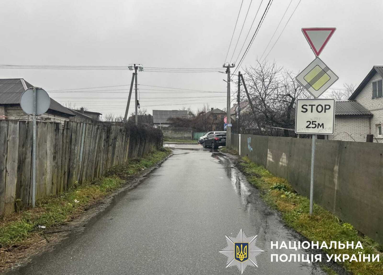 Під Києвом внаслідок зіткнення легковиків є загиблий, постраждало двоє дітей. Подробиці ДТП та фото